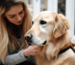 Golden Retriever als Therapiehunde GoldenPals
