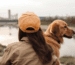 Apportieren Tipps von Emilia
