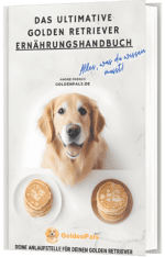 Ernährungshandbuch Golden Retriever