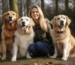 Golden Retriever Alles was du über diese liebevollen Hunde wissen musst