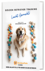 Golden Retriever Training leicht gemacht - E-Book