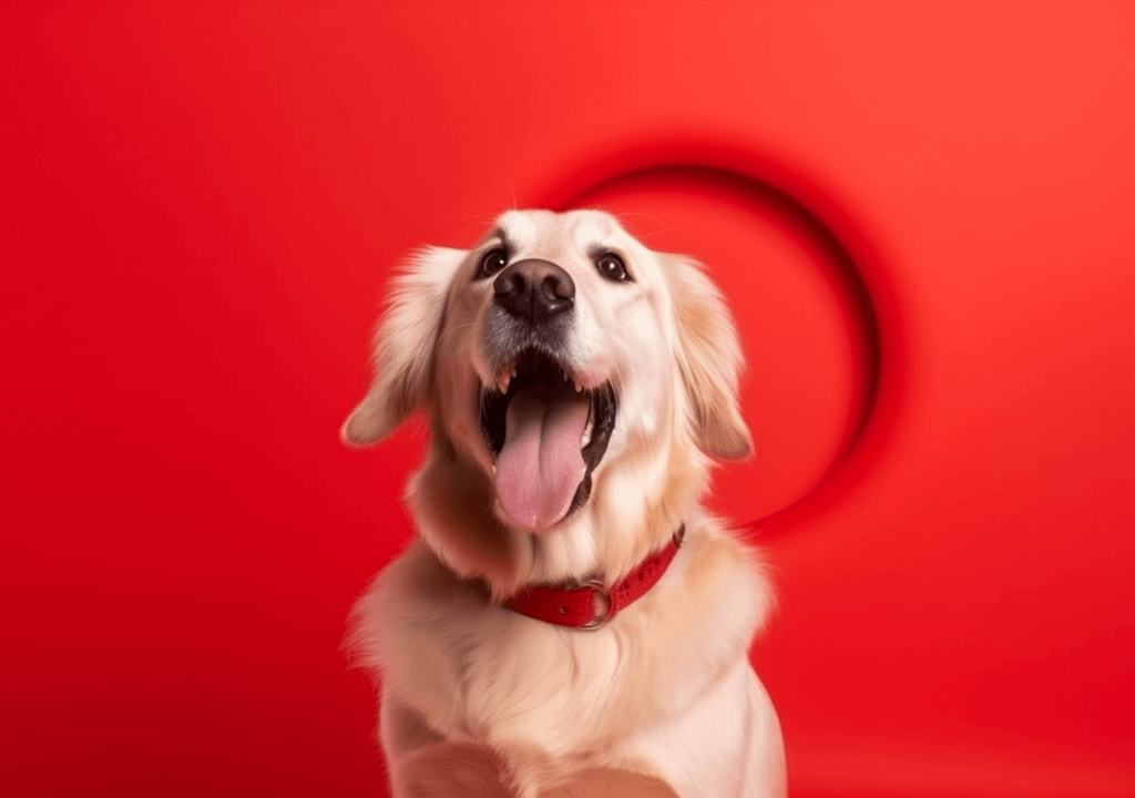 Fernhaltemittel für Hunde 