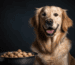 Futter-Topping für Golden Retriever