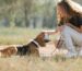 Klassische Hundeleinen für Golden Retriever