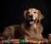Nahrungsergänzungen & Vitamine für Hunde