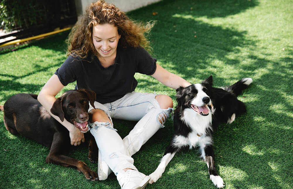 Hundeknochen GoldenPals Betrag