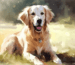 hundekekse blogbeitrag