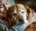 Therapiehund Titelbild Geschichte